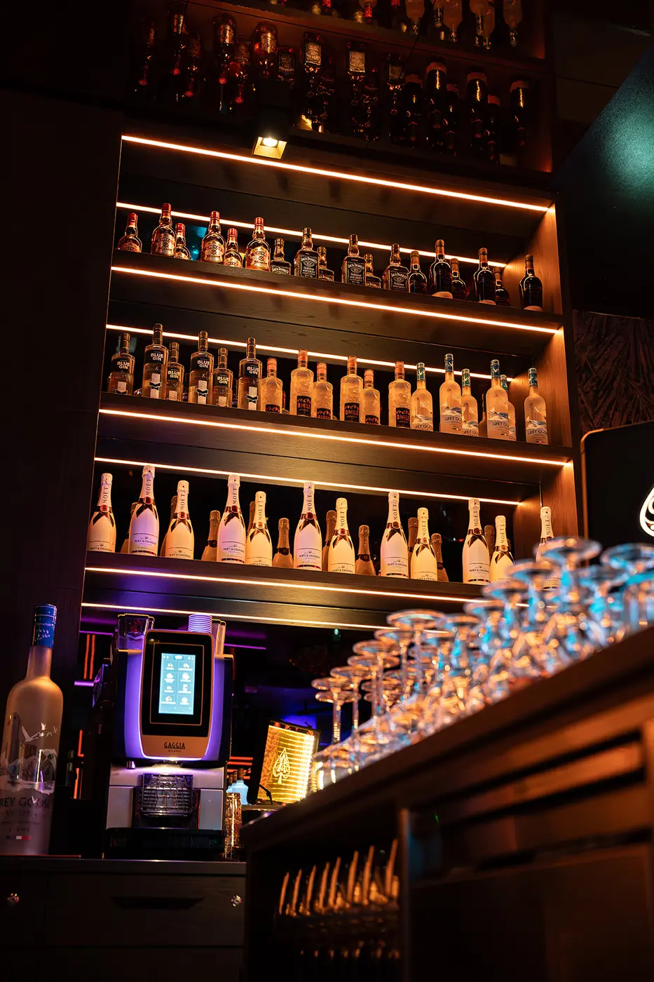 Pangea Wien – beleuchtetes Flaschen-Regal an der Bar